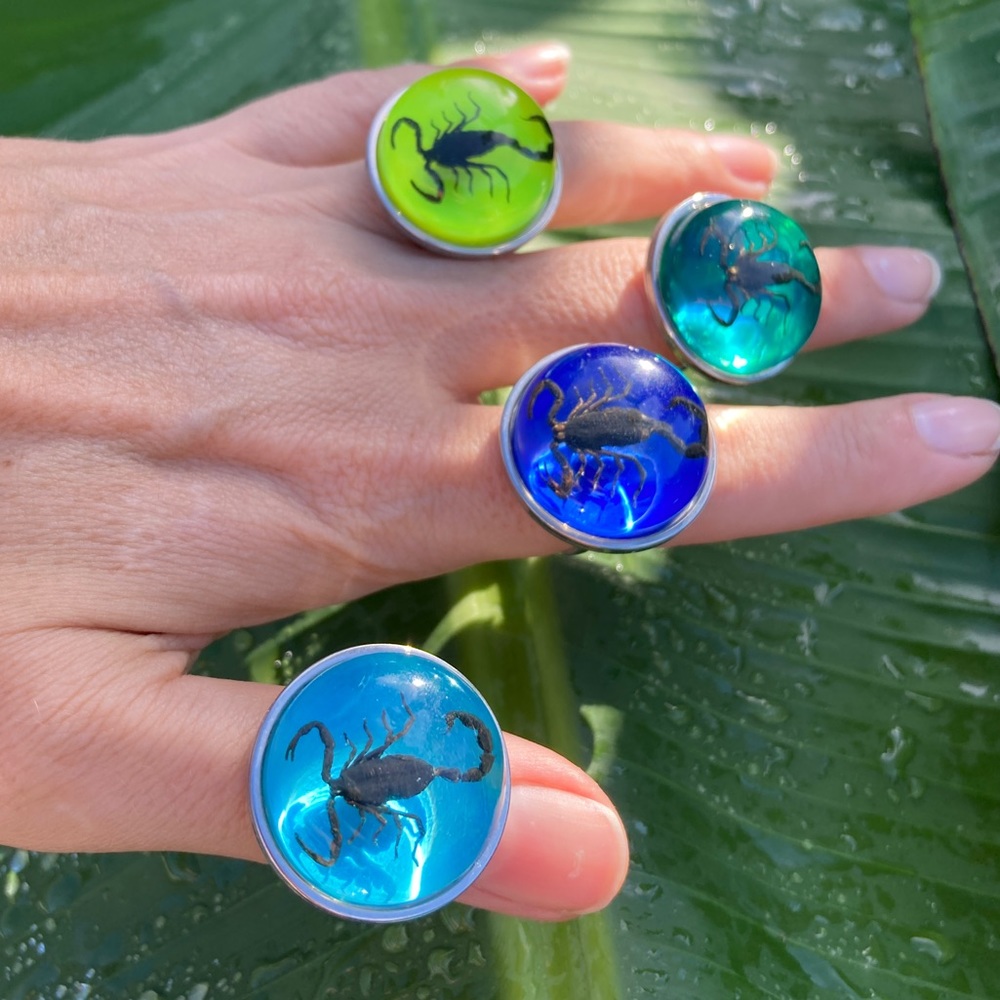 Real Scorpion Ring Gold Stainless Steel Adjustable Insect Taxidermy Scorpio Bugs